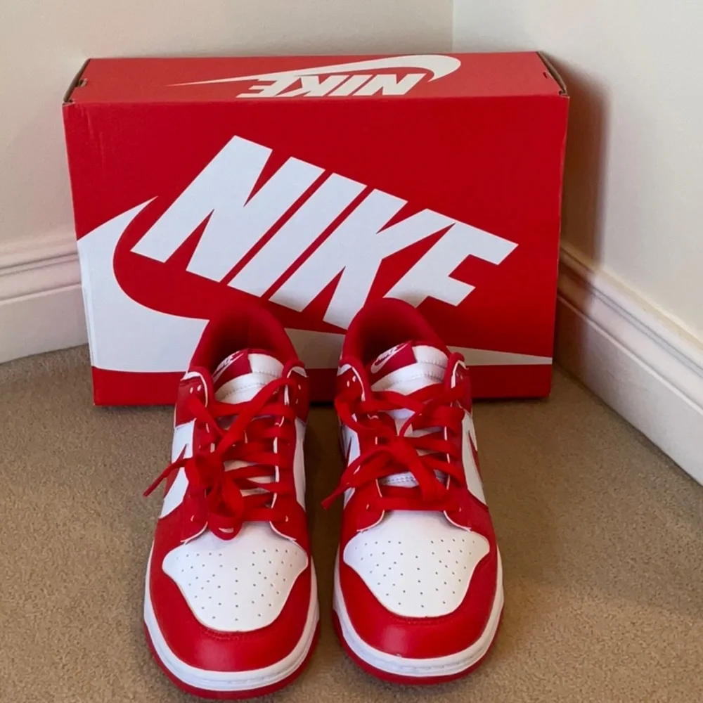 NWT-Nike Dunk Low Retro-With Box